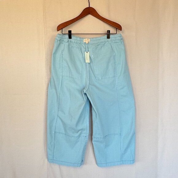 Anthropologie Pilcro Izzie Blue Relaxed Pull On Wide Leg Barrel Pants Size 1X - Picture 5 of 11